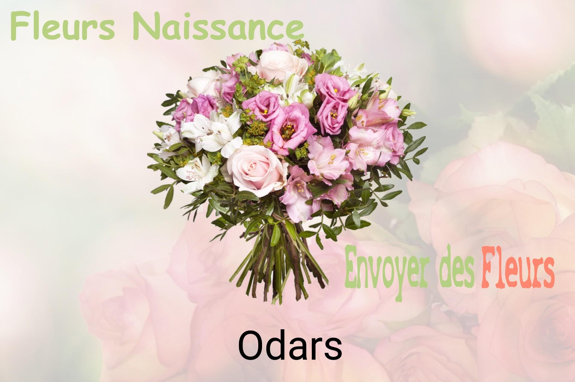 Bouquet de fleurs de naissance livré à Odars