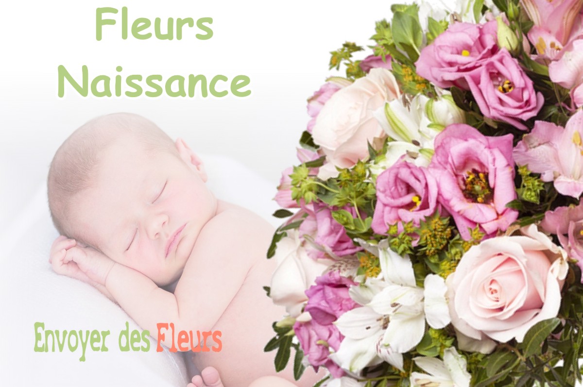 lIVRAISON FLEURS NAISSANCE à ODARS